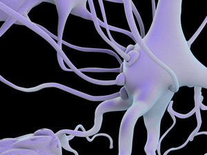 Neuronal_Network_half_page.jpg