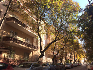 ankara_apt_mans1.jpg