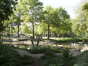 ©carve_sportpark meerpark (8).JPG