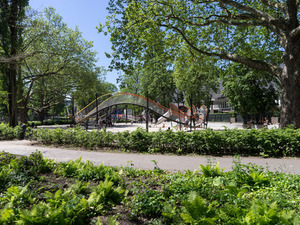 carve_stadsparken nieuws_2017 (2).jpg
