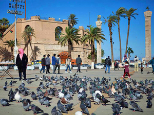 women & pigeons in M Sq.jpg