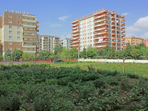 haber içi 2.jpg