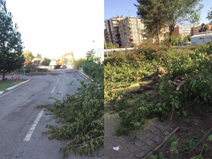 karayolları.jpg