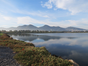 lagün-ve-inciraltı-kent-ormanı.jpg