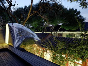 06_hutong bubble_shu_he.jpg