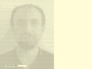 nizam_onur_sonmez.jpg