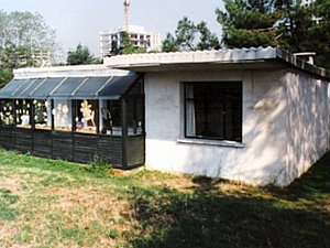 Ruhi Kafescioglu