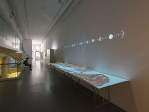DSD_2555.jpg