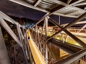 Tabiat_Bridge (4).jpg