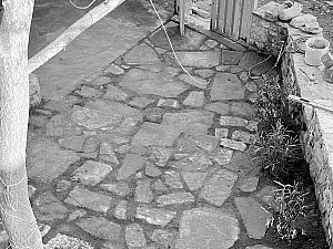 GYFG2996.jpg