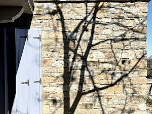 IMG_1783.jpg