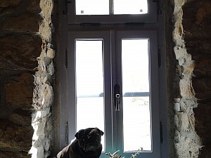 IMG_20230427_153930.jpg