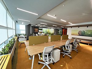 SARI AÇIK OFİS (2).jpeg