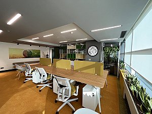 SARI AÇIK OFİS (3).jpeg