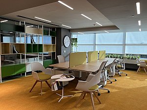 SARI AÇIK OFİS (4).jpeg