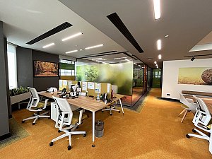SARI AÇIK OFİS (5).jpeg