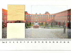 transparent_wood2.jpg
