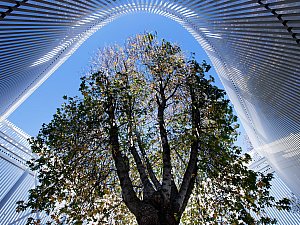 TURGUTREIS_YASAM_MERKEZI-IMAJ-04.jpg