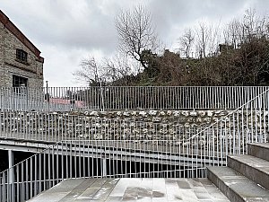 IMG_7211.jpg