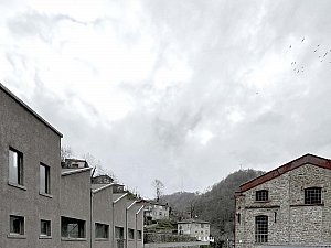 IMG_7214 copy.jpg