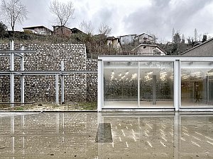 IMG_7218.jpg