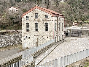 IMG_7259.jpg