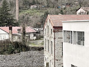 IMG_7263 copy.jpg