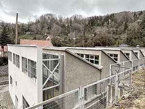 IMG_7266.jpg