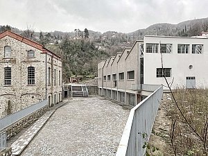 IMG_7290.jpg