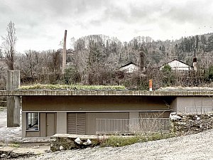 IMG_7293.jpg