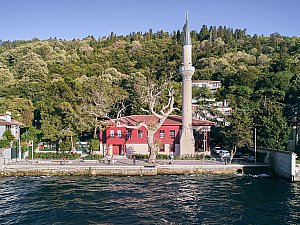 Vanikoy