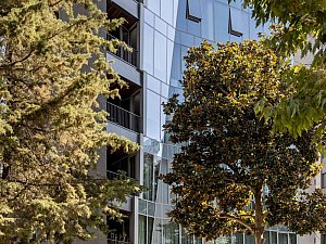 101514-preview_low_5649-3_101514_sc_v2com.jpg