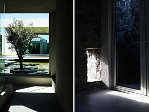 (19).jpg
