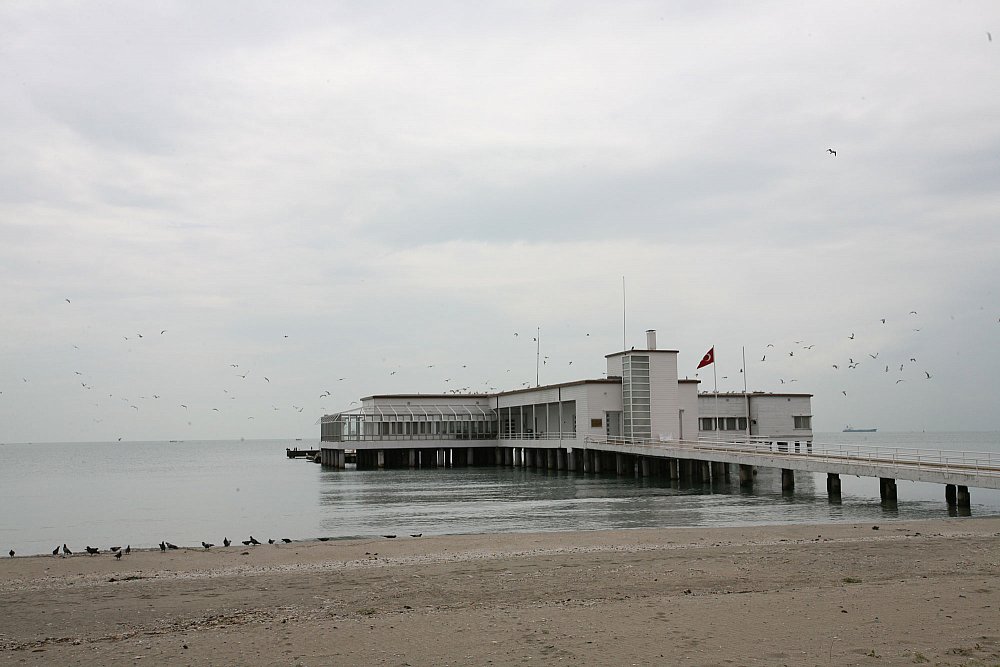 IMG_3920.jpg
