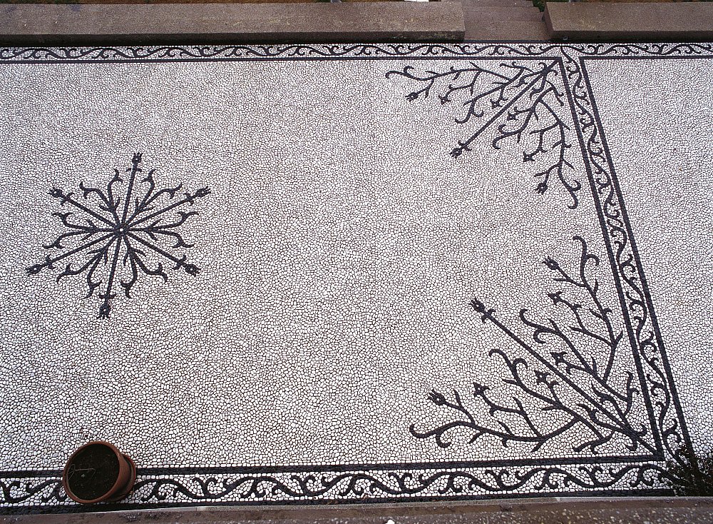 assos---06.jpg