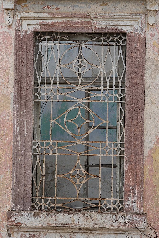 despot_evi_khg (7).jpg