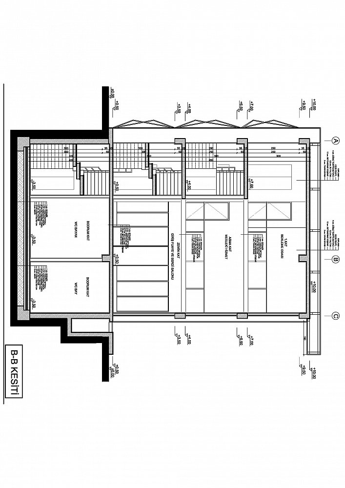 z (14).jpg