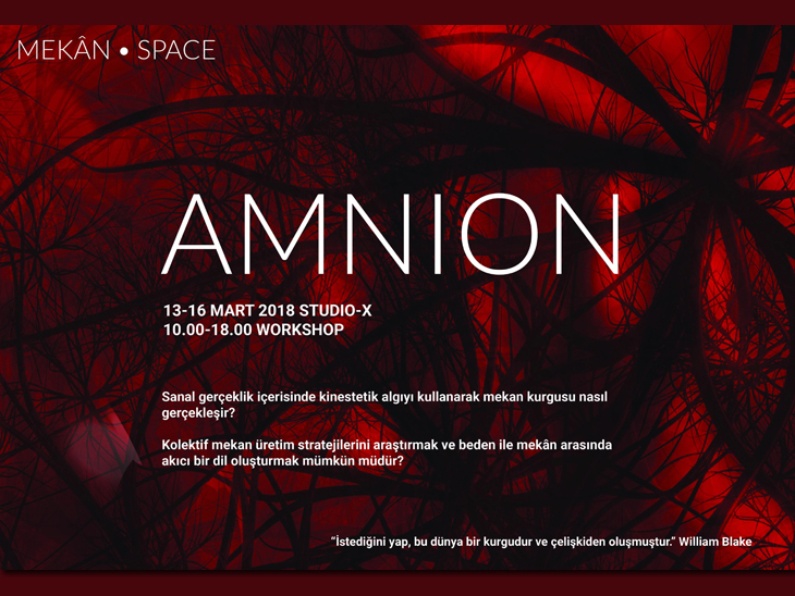 amnion.jpg