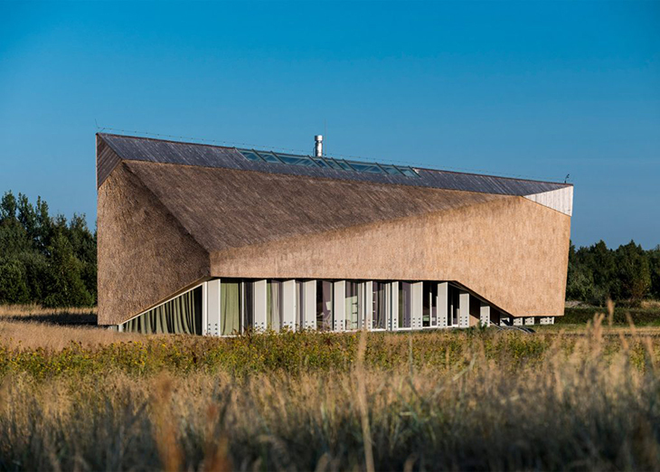 dune-house-9.jpg