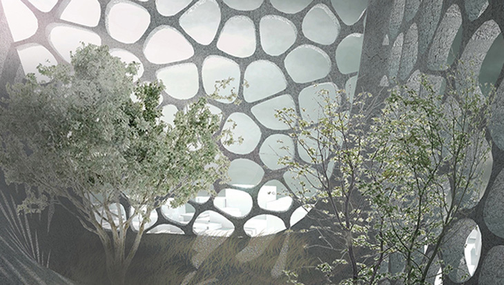 C-0115-thumbnail2.jpg