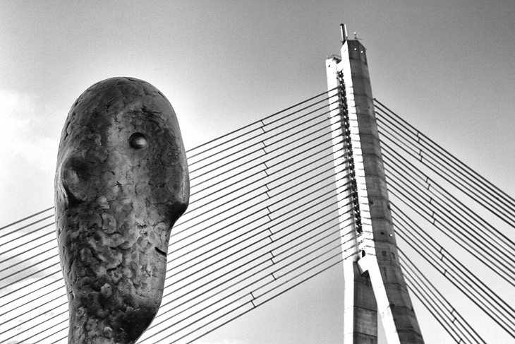 7_He_And_The_Bridge_by_Oleg_Dashkov.jpg