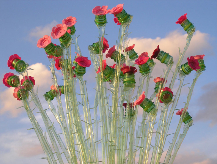 roses.jpg