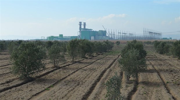 tarim-alani.jpg