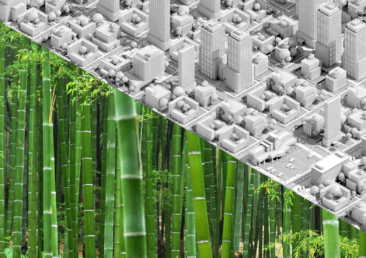 manset_bamboo.jpg