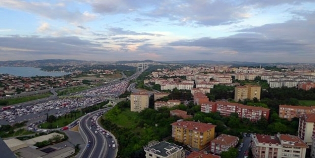 356553832.jpg