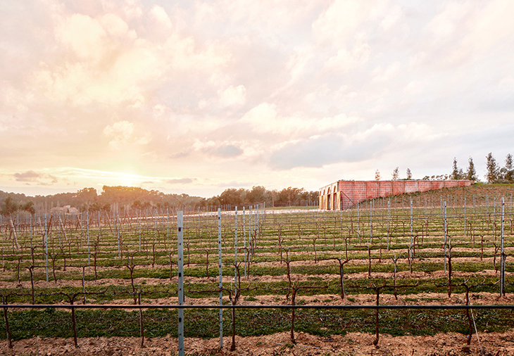 jorge-vidal-tomas-victor-rahola-mont-ras-winery-girona-catalonia-spain-designboom-10.jpg