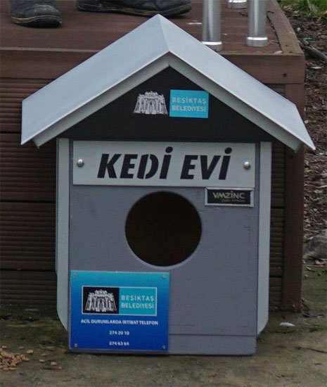 kedi-evi-2.jpg