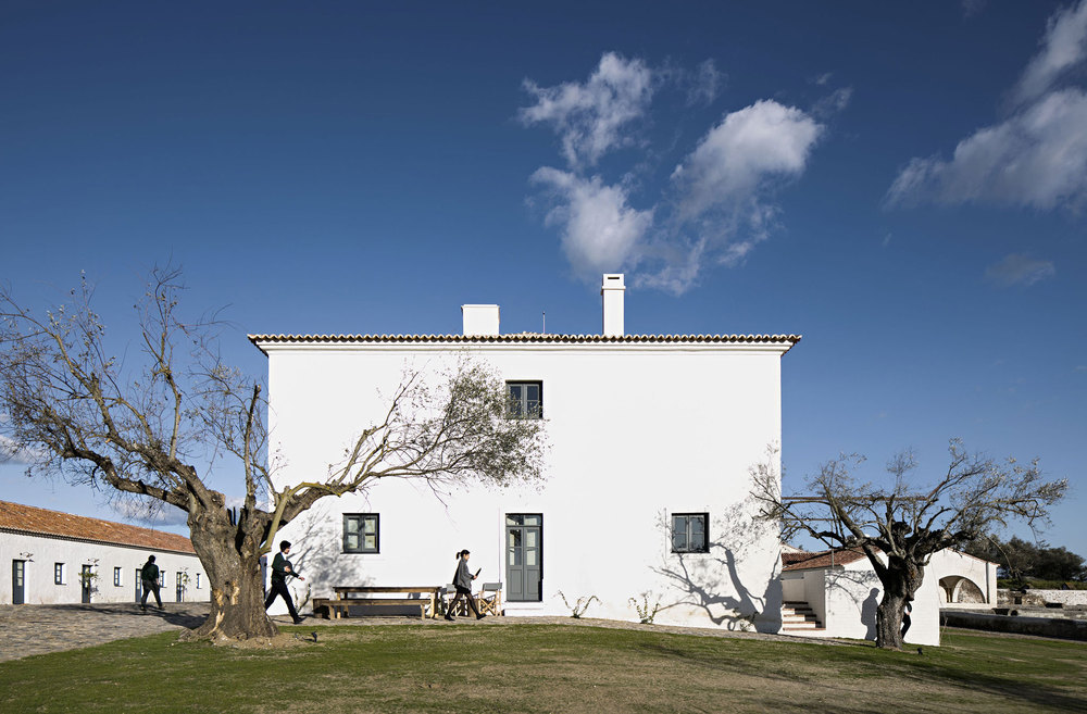 agricultural memory 5.jpg