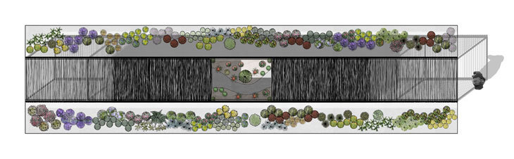 radicepura-plan-haber.jpg