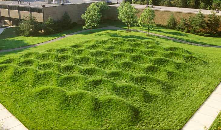 wave-field.jpg